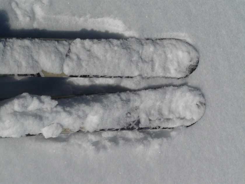 ski_ski_tour_touring_skis